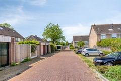 Eendvogelstraat484451dpHeinkenszand-51.jpg