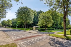 Eendvogelstraat484451dpHeinkenszand-54.jpg