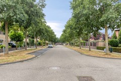 Blikhoek844453bgsHeerenhoek-35.jpg