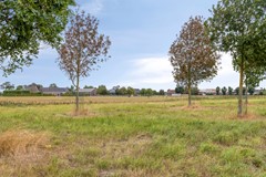 Blikhoek844453bgsHeerenhoek-36.jpg
