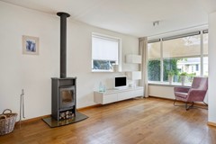 Zangvogelstraat174451ccHeinkenszandNL-08.jpg
