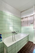 Roofvogelstraat754451crHeinkenszand-21.jpg