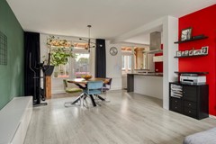 Roofvogelstraat264451csHeinkenszandNL-11.jpg