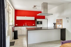 Roofvogelstraat264451csHeinkenszandNL-13.jpg