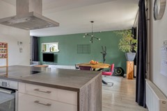 Roofvogelstraat264451csHeinkenszandNL-15.jpg
