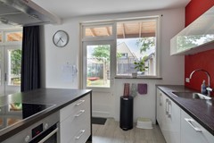 Roofvogelstraat264451csHeinkenszandNL-16.jpg
