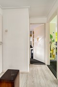 Roofvogelstraat264451csHeinkenszandNL-18.jpg