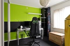 Roofvogelstraat264451csHeinkenszandNL-19.jpg