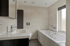 Roofvogelstraat264451csHeinkenszandNL-21.jpg
