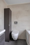 Roofvogelstraat264451csHeinkenszandNL-22.jpg