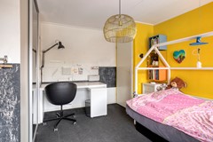 Roofvogelstraat264451csHeinkenszandNL-27.jpg