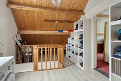 Roofvogelstraat264451csHeinkenszandNL-32.jpg