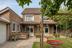 Roofvogelstraat264451csHeinkenszandNL-42.jpg