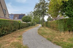 Roofvogelstraat264451csHeinkenszandNL-46.jpg