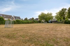 Roofvogelstraat264451csHeinkenszandNL-47.jpg