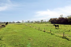 Koop:Nieuweweg 20, 4435 AD Baarland - Foto