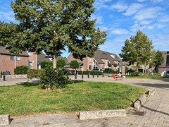 IMG_4987.jpeg