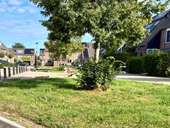 IMG_4988.jpeg