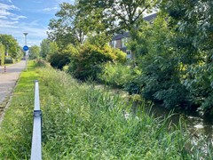 IMG_4990.jpeg