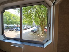 20240627_100707 (Groot).jpg