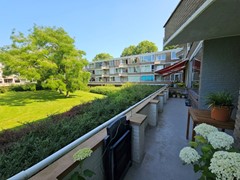 20240627_101615 (Groot).jpg