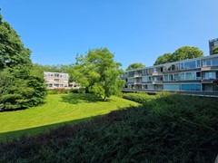 20240627_101659 (Groot).jpg