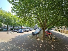 20240627_101759 (Groot).jpg