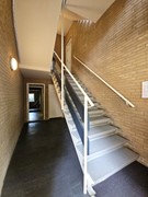 20240627_102132 (Groot).jpg