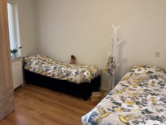 IMG_9417.jpeg
