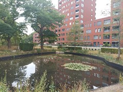 Verkocht: Einsteindreef 45B, 3562 XS Utrecht