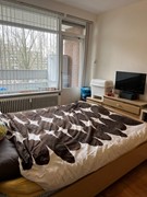 Verkocht: Ocarinalaan 194, 2287 RG Rijswijk