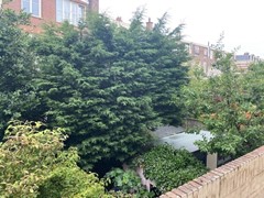 Verkocht: Paramaribostraat 2C, 2585 GN Den Haag