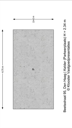 Beetsstraat 95, 2524 PK Den Haag - 
