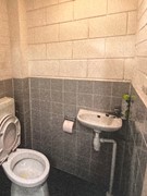 IMG_7240.jpg