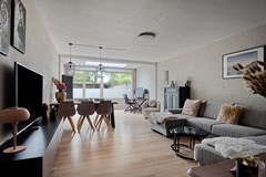 Haagbeemd145641NCEindhovenNL-12.jpg