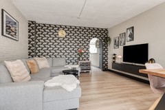 Haagbeemd145641NCEindhovenNL-16.jpg