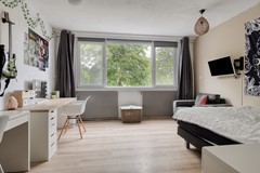Haagbeemd145641NCEindhovenNL-30.jpg