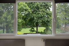 Haagbeemd145641NCEindhovenNL-32.jpg
