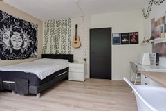 Haagbeemd145641NCEindhovenNL-31.jpg