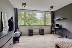 Haagbeemd145641NCEindhovenNL-40.jpg