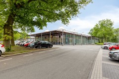 Haagbeemd145641NCEindhovenNL-51.jpg