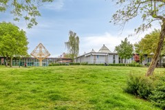 Haagbeemd145641NCEindhovenNL-52.jpg