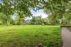 Haagbeemd145641NCEindhovenNL-53.jpg