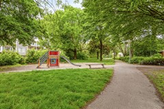 Haagbeemd145641NCEindhovenNL-54.jpg