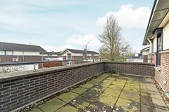 26-Leeuwencamp 1 - Zevenaar.jpg