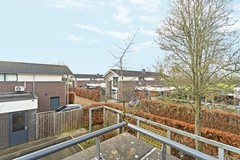 27-Leeuwencamp 1 - Zevenaar.jpg