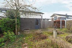 42-Leeuwencamp 1 - Zevenaar.jpg