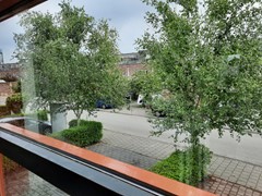 20220721_112429.jpg