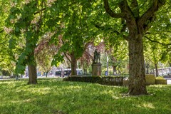 Hereplein239711GBGroningenNL-47.jpg