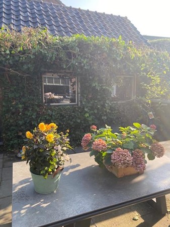 Medium property photo - Pilgrimstraat 12, 6851 MV Huissen